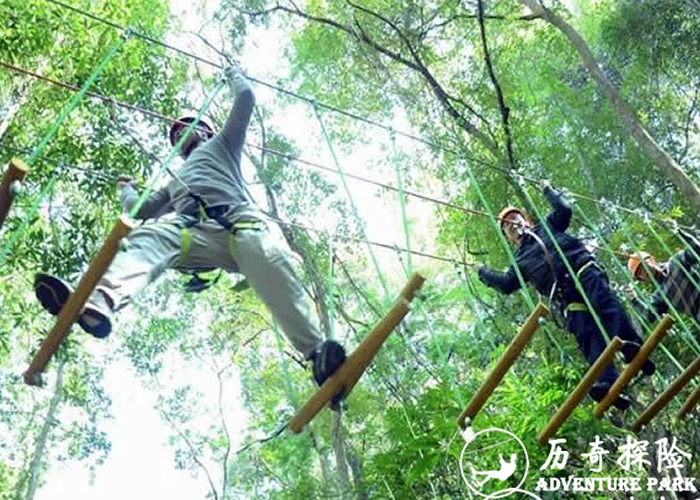 河源桂山风景区丛林飞越丛林树上探险项目