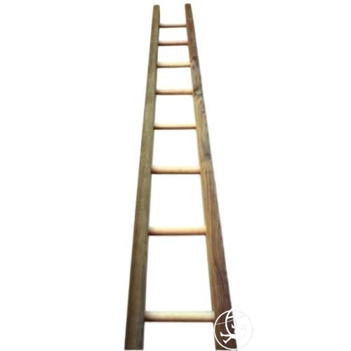 1765182671164411.jpg AC05-apple-picker-s-ladder-450-m-1476-ft.jpg