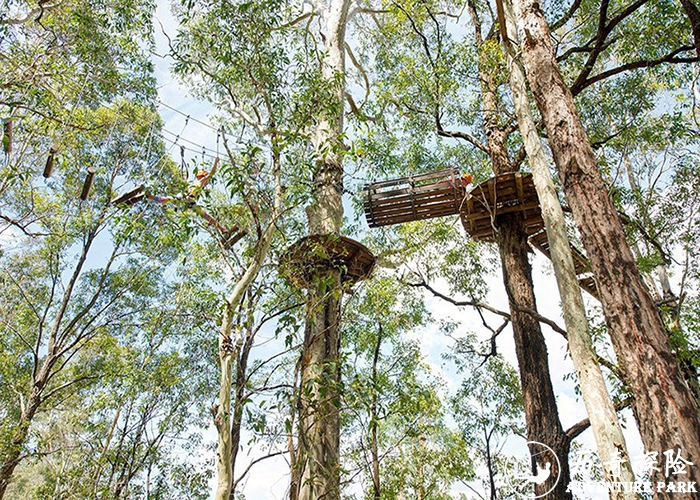 丛林穿越 丛林穿梭景区丛林穿越施工 丛林飞索项目