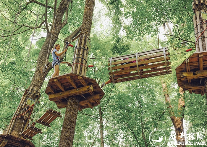 丛林飞越探险乐园 森林冒险 森林拓展游乐活动项目搭建